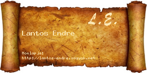 Lantos Endre névjegykártya